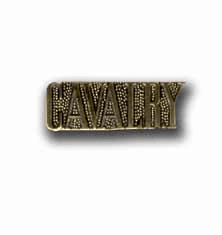 Army Cavalry Military Pin