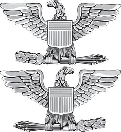 Army Colonel 8" Rank Vinyl Transfer Decal (Pair)