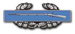 Army Combat Infantry Badge 1st Award 8" Vinyl Transfer Decal