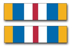 Army Defense Superior Service Ribbon 8" Vinyl Transfer Decal