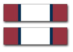 Army Distinguished Service Ribbon 10" Vinyl Transfer Decal