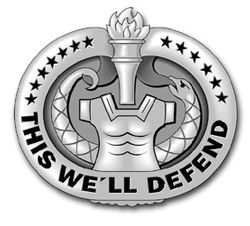 Army Drill Sergeant Badge (Gray) 3.8" Vinyl Transfer Decal