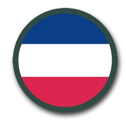 Army Forces Command 11.75" Patch Vinyl Transfer Decal