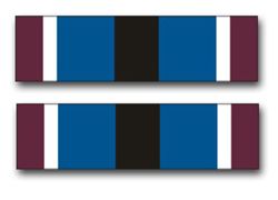 Army Humanitarian Service Ribbon 10" Vinyl Transfer Decal