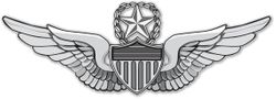 Army Master Aviator Wings 10" Vinyl Transfer Decal