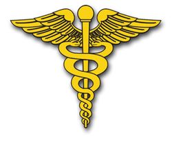 Army Medical Corps  10" Vinyl Transfer Decal