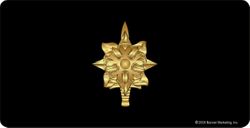 Army Military Intelligence Corps License Plate