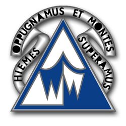 Army Nuclear Warefare Command Unit Crest Vinyl Transfer Decal