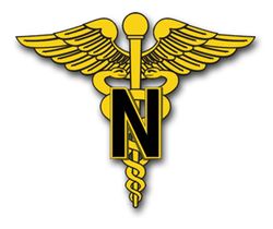 Army Nurse Corps 8" Vinyl Transfer Decal
