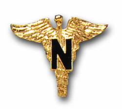 Army Nurse Military Lapel Pin
