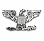 Army Officer Insignia Decals