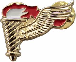 Army Pathfinder Wing Military Pin