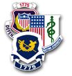 Army Regimental Decals Outside Application
