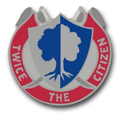 Army Reserve Unit Crest 10" Vinyl Transfer Decal