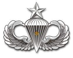 Army Senior 1 Combat Jump Wings Vinyl Transfer Decal