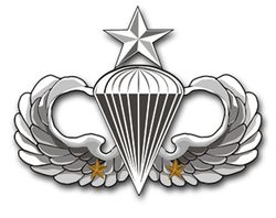 Army Senior 2 Combat Jump Wings Vinyl Transfer Decal