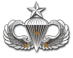 Army Senior 3 Combat Jump Wings 8" Vinyl Transfer Decal