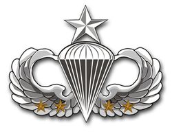 Army Senior 4 Combat Jump Wings Vinyl Transfer Decal