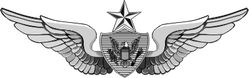 Army Senior Aircrew 10" Vinyl Transfer Decal
