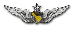 Army Senior Astronaut 5.5" Vinyl Transfer Decal