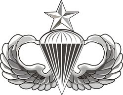 Army Senior Parachutist Wings  Vinyl Transfer Decal