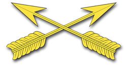 Army Special Forces Insignia 3.8" Vinyl Transfer Decal