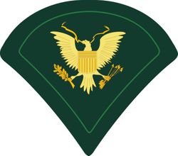 Army Specialist Decal Sticker