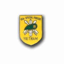 Army Vietnam Special Forces Military Pin