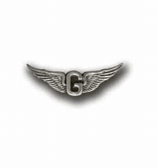 Army Wing Gunner Military Pin