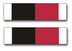 Army World War II Occupation Ribbon Vinyl Transfer Decal