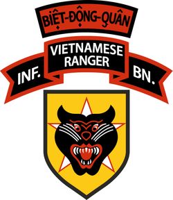 BDQ Vietnam Ranger Decal