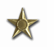 Bronze Star Medal