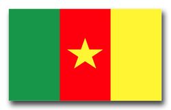 Cameroon Flag 3.8" Decal