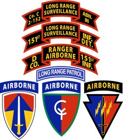 Co D (Ranger), 151st Infantry (Airborne) Decal