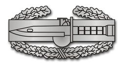 Combat Action Badge 1st Award 11.75 Decal