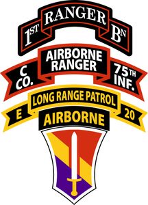 Company C (Airborne Ranger), 75th Infantry Decal