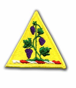 Connectiut National Guard Military Patch