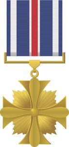 Distinguished Flying Cross Medal Decal