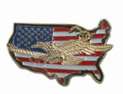 Flag Map / Eagle Lapel Pin