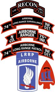 N Company (RANGER), 75th Infantry (AIRBORNE), 173rd Airborne Brigade Decal