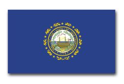 New Hampshire State Flag 10" Vinyl Transfer Decal