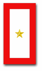 "One Gold Star" Service Flag 1.5" x 2.8" Decal