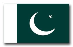 Pakistan Flag 11.75" Decal