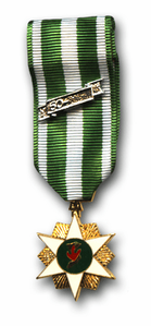 Republic of Vietnam Campaign Mini Medal