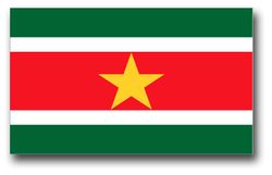Suriname Flag 8" Decal