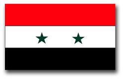 Syria Flag 11.75" Decal