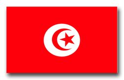 Tunisia Flag 5.5" Decal