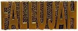 US Army Fallujah 1" Lapel/Small Hat Pin