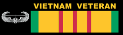 Air Assault Wings Vietnam Bumper Sticker
