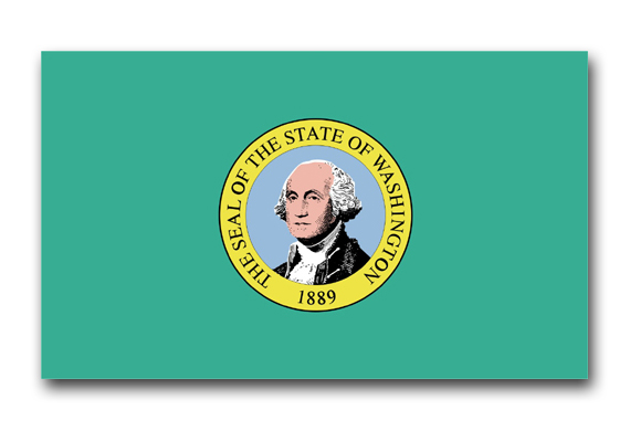 Washington State Flag 10" Vinyl Transfer Decal